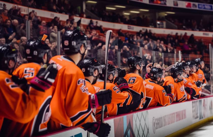 Greenville Swamp Rabbits Tickets - StubHub