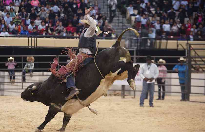 Bill Pickett Invitational Rodeo Tickets StubHub