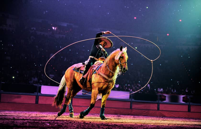 National Finals Rodeo Tickets StubHub