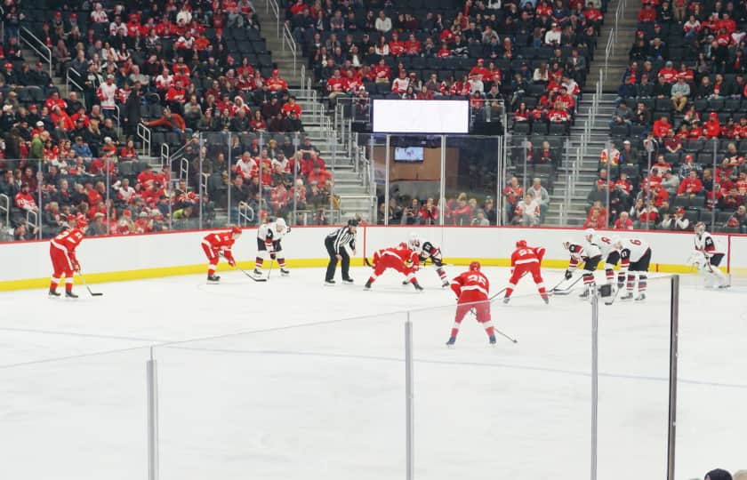 Detroit Red Wings Tickets StubHub