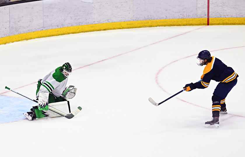 Dartmouth Big Green Hockey at Quinnipiac Bobcats Mens Ice Hockey Hamden ...