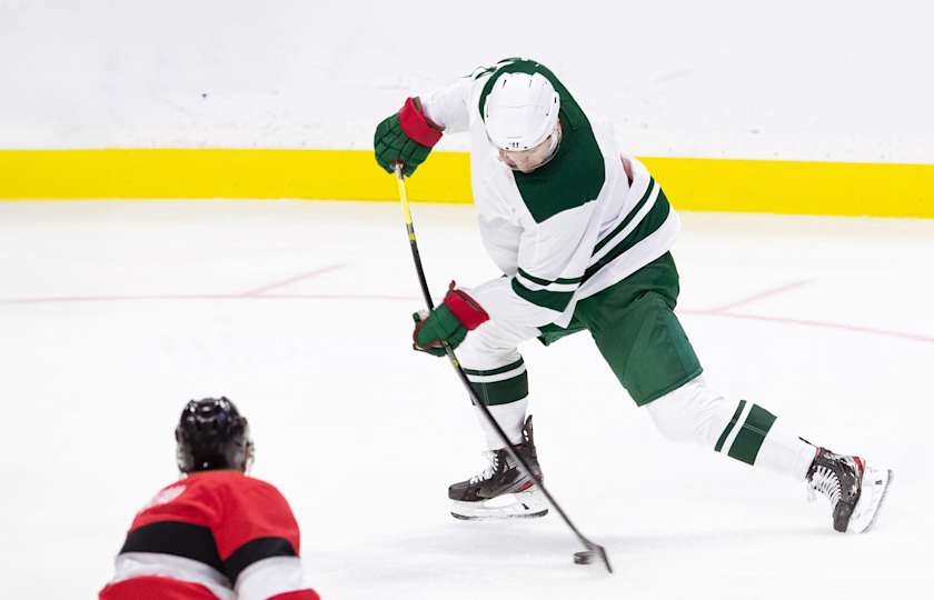 Minnesota Wild Tickets StubHub