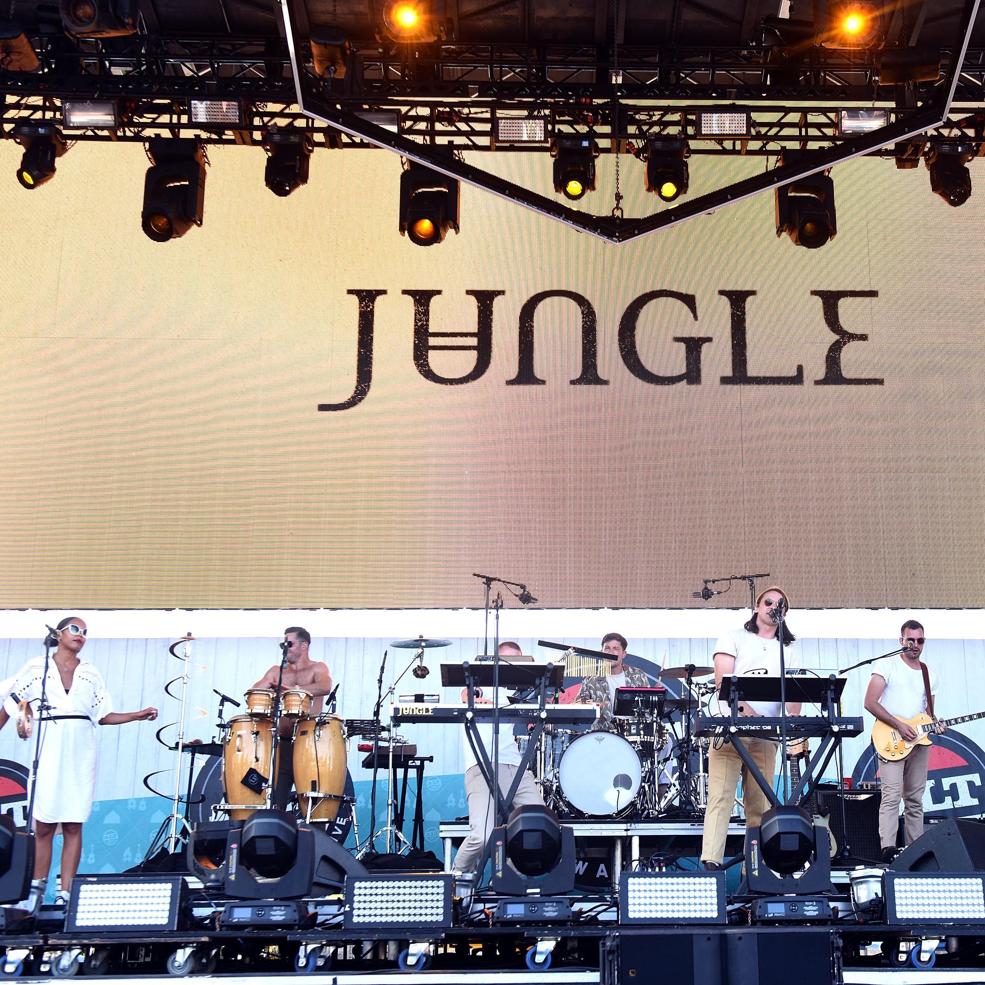 Jungle live