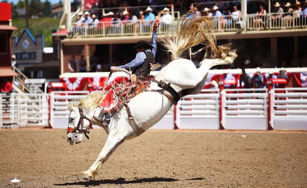 Calgary Stampede Rodeo