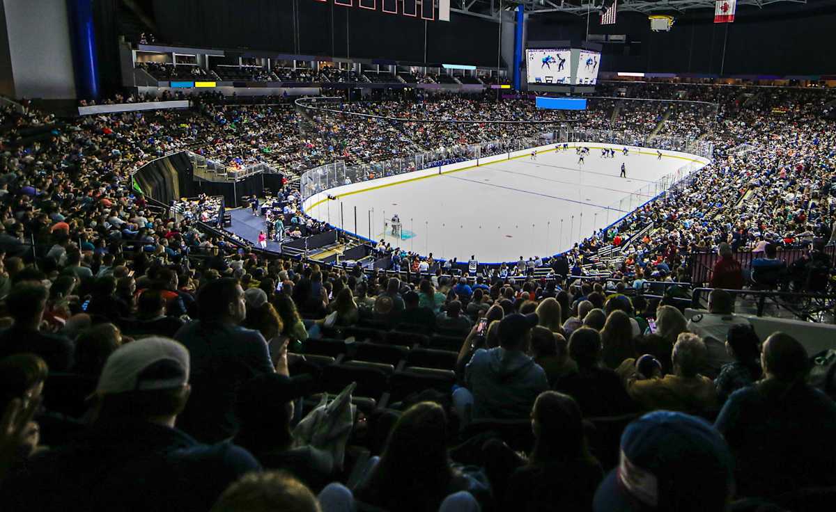 Orlando Solar Bears