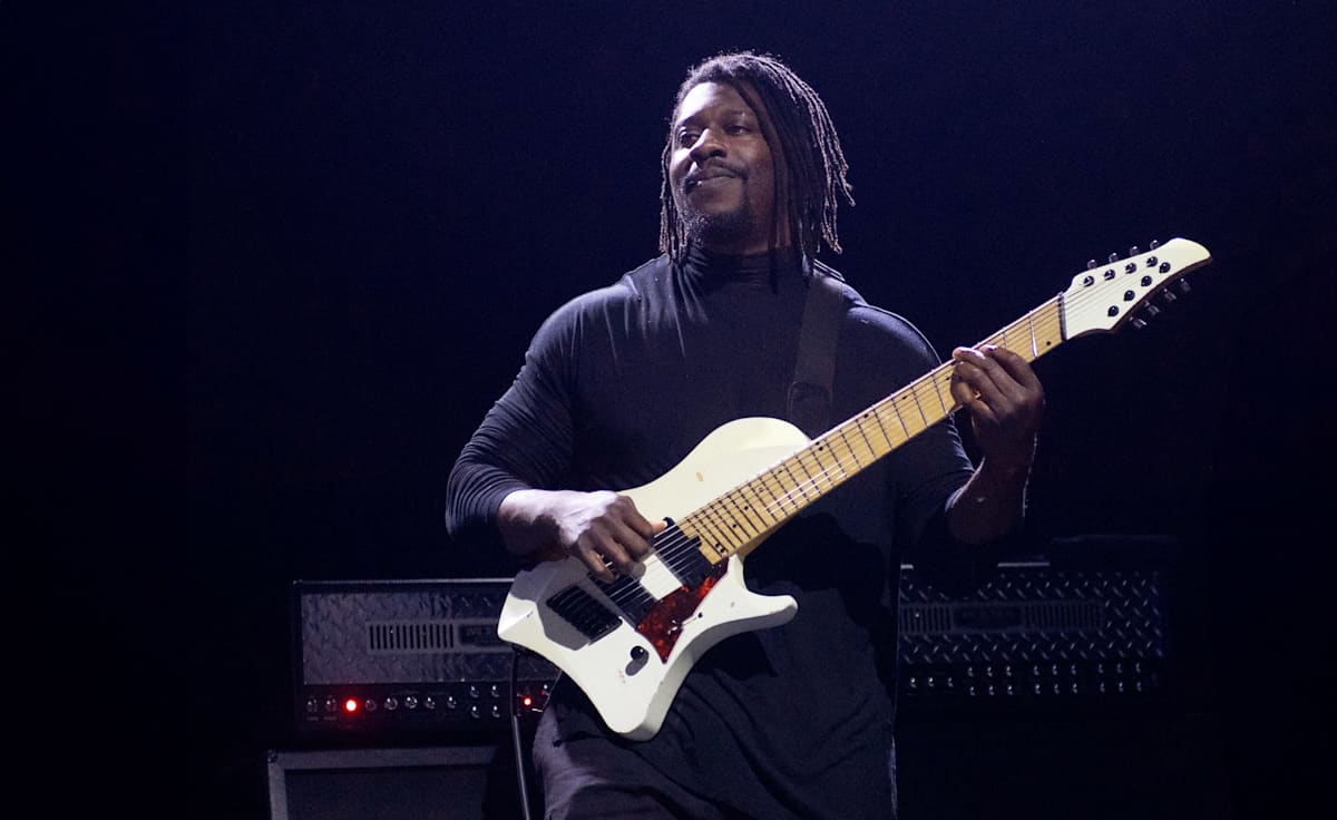 Animals as Leaders