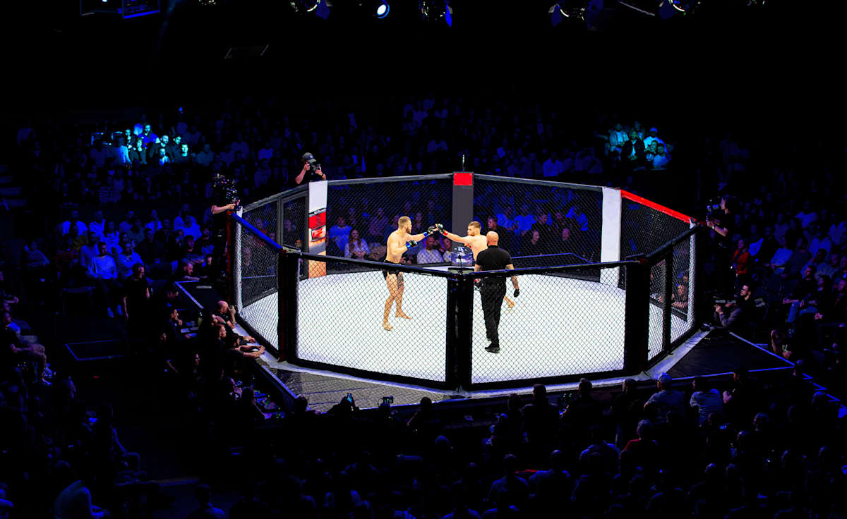 We Love MMA
