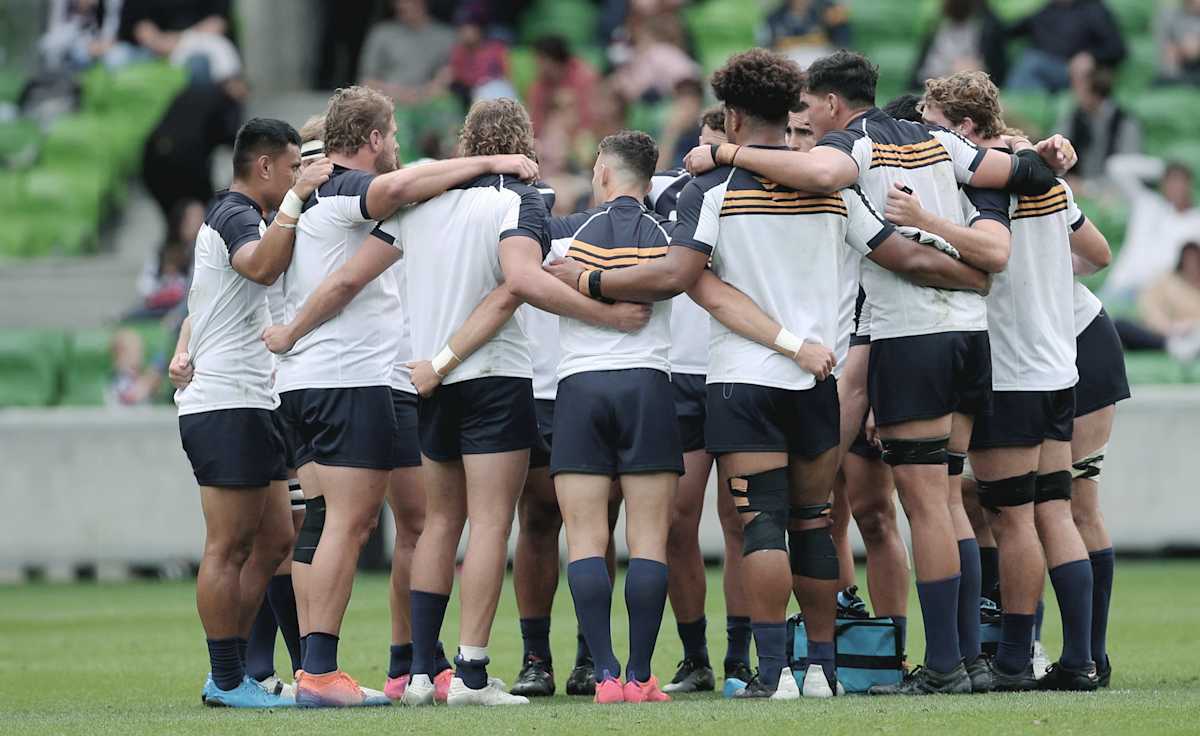 ACT Brumbies