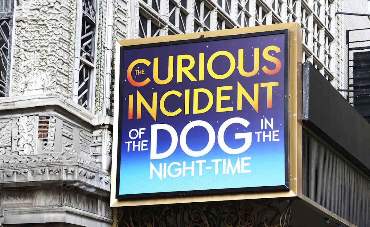 The Curious Incident of the Dog in the Night-Time