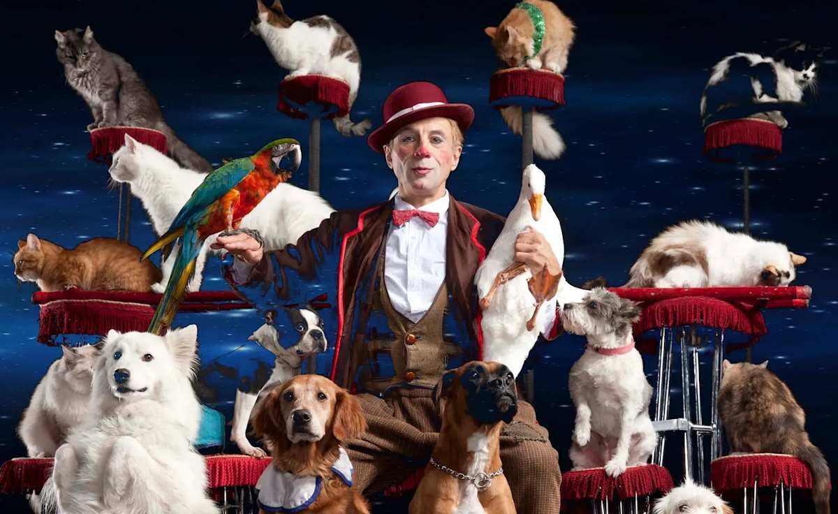 Popovich Comedy Pet Theatre