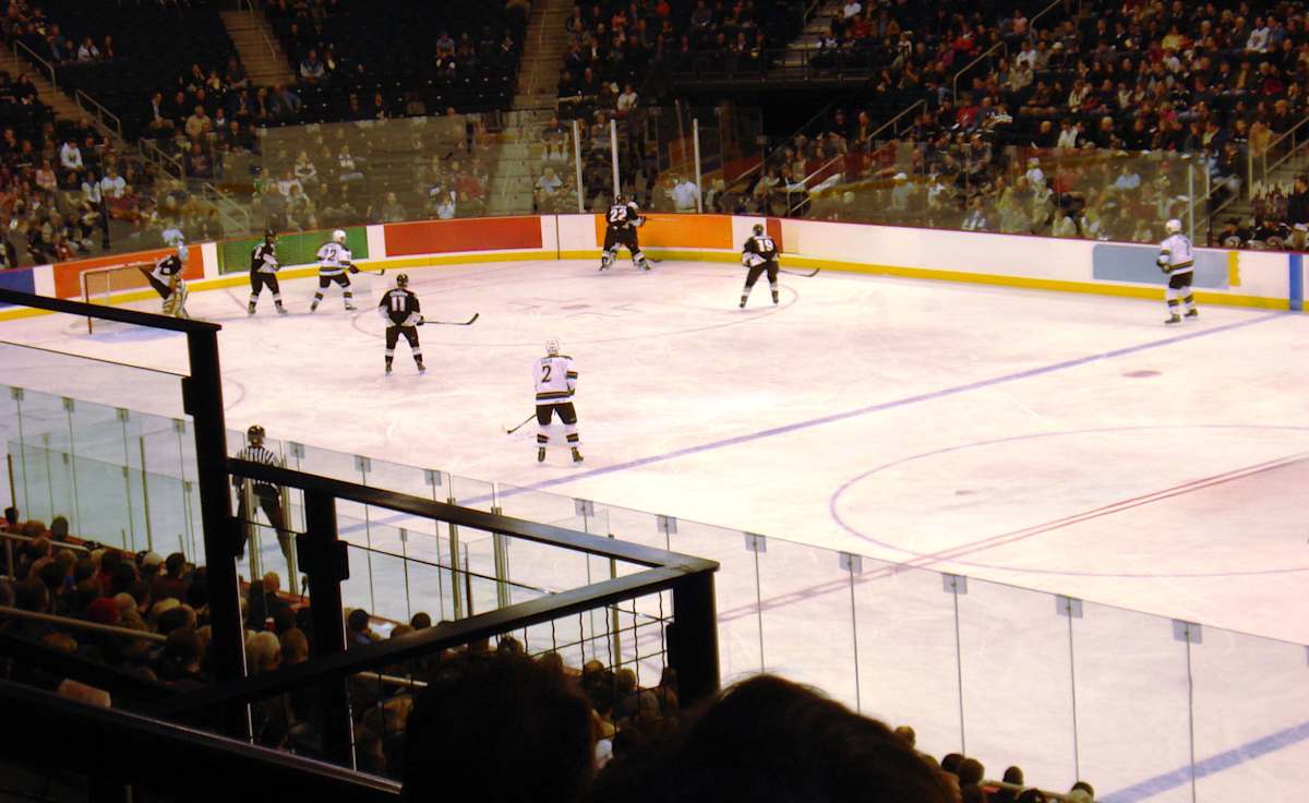 Manitoba Moose