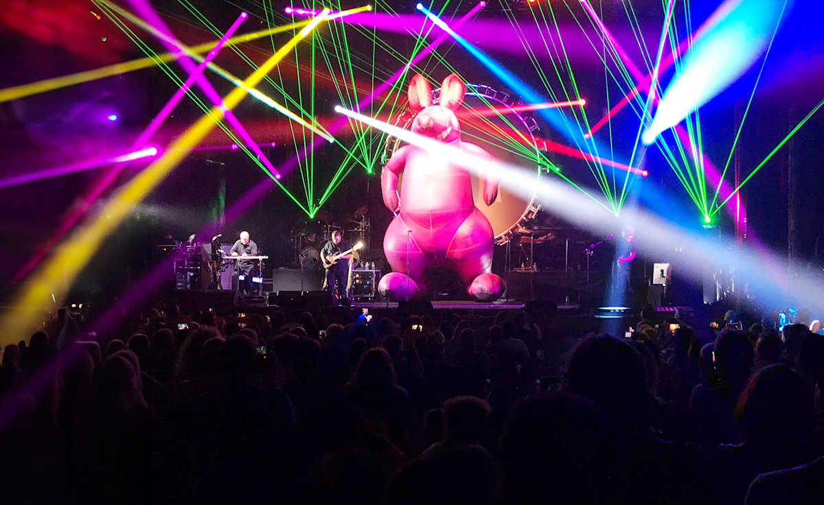 Australian Pink Floyd - Un hommage à Pink Floyd