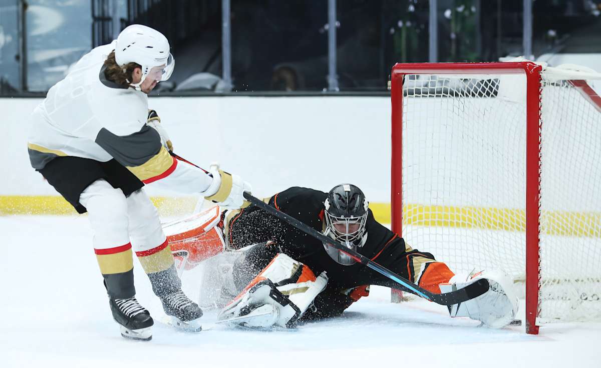 Vegas Golden Knights