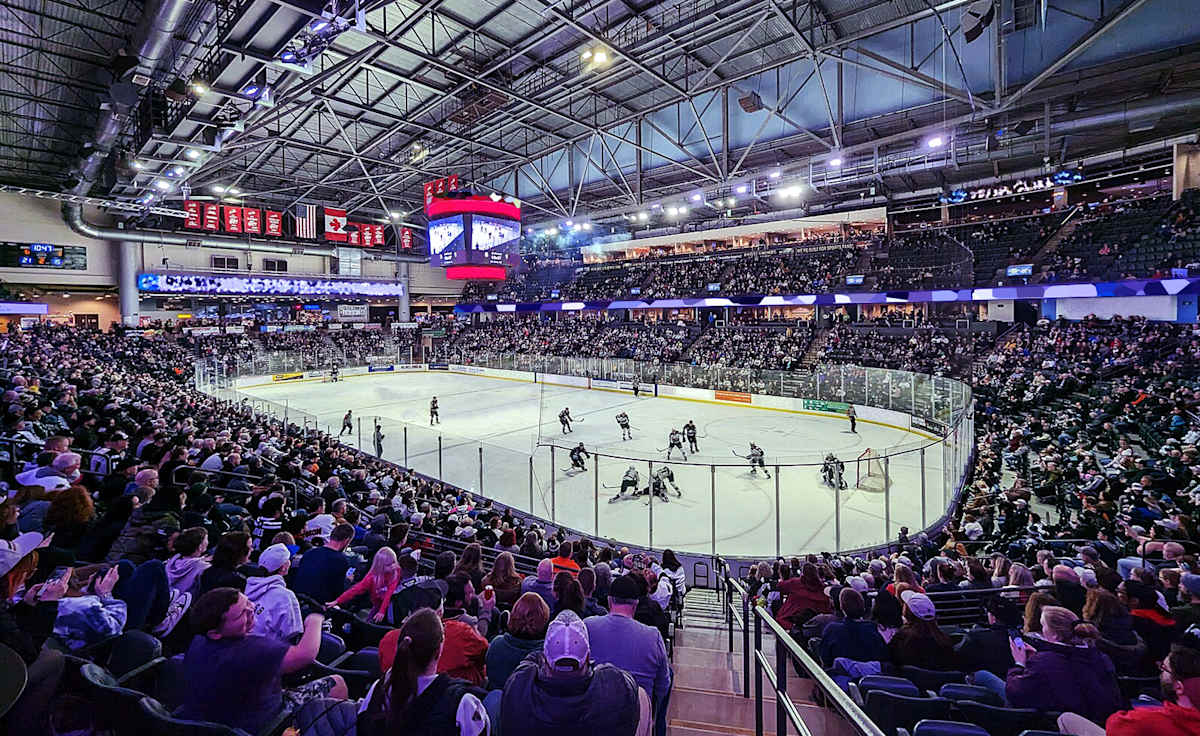 Everett Silvertips