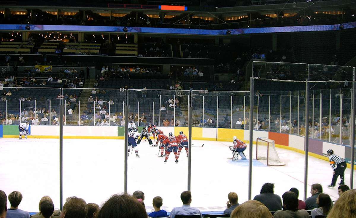 South Carolina Stingrays