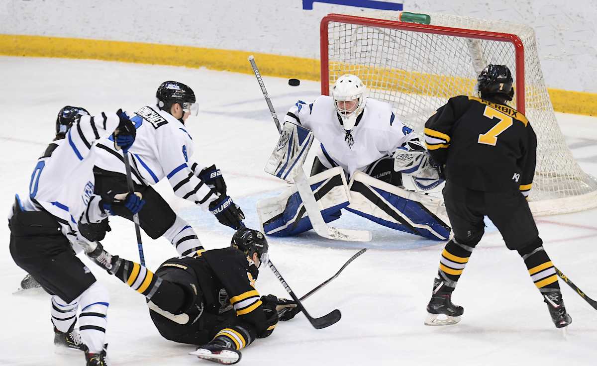 Fargo Force