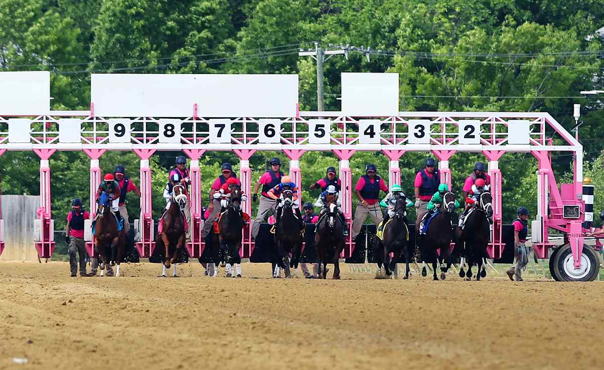 Black-Eyed Susan Stakes