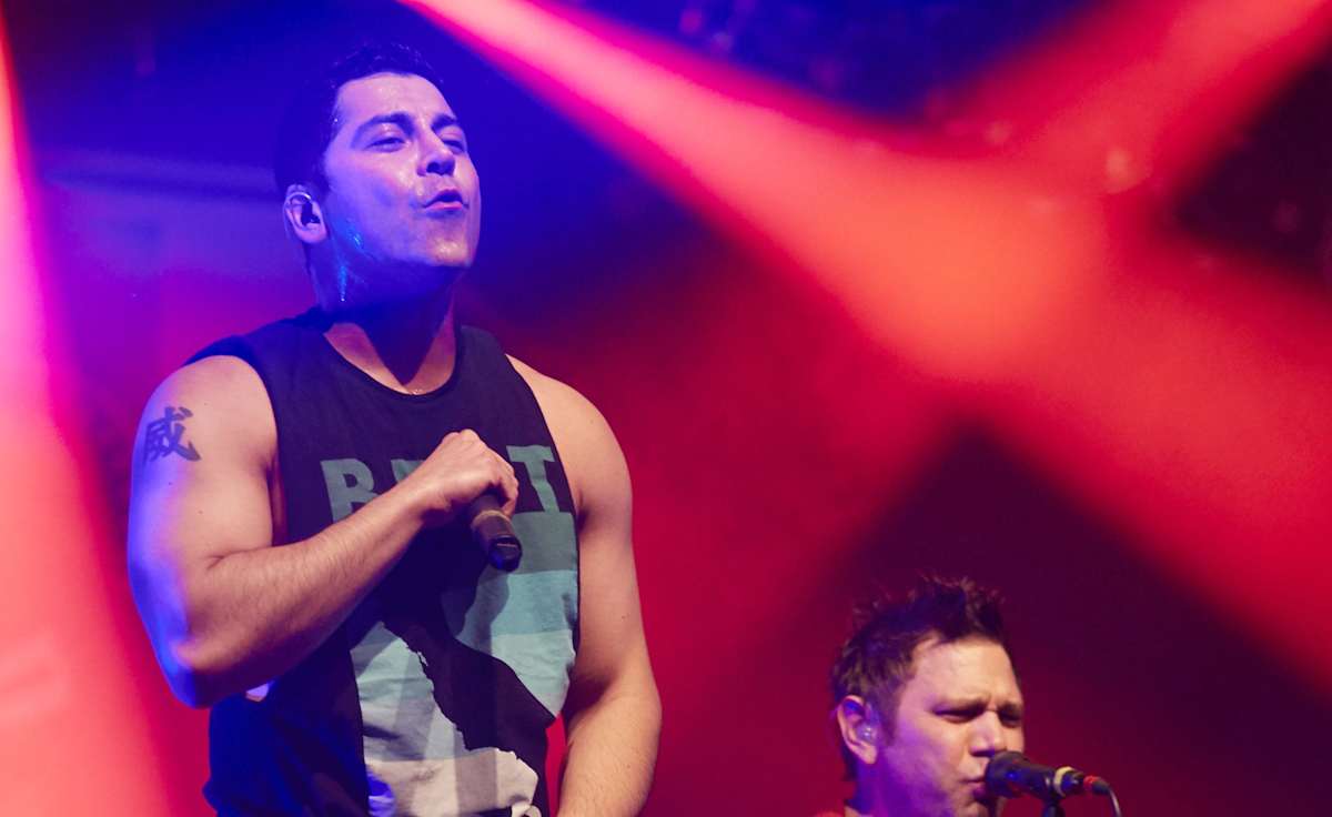 Zebrahead