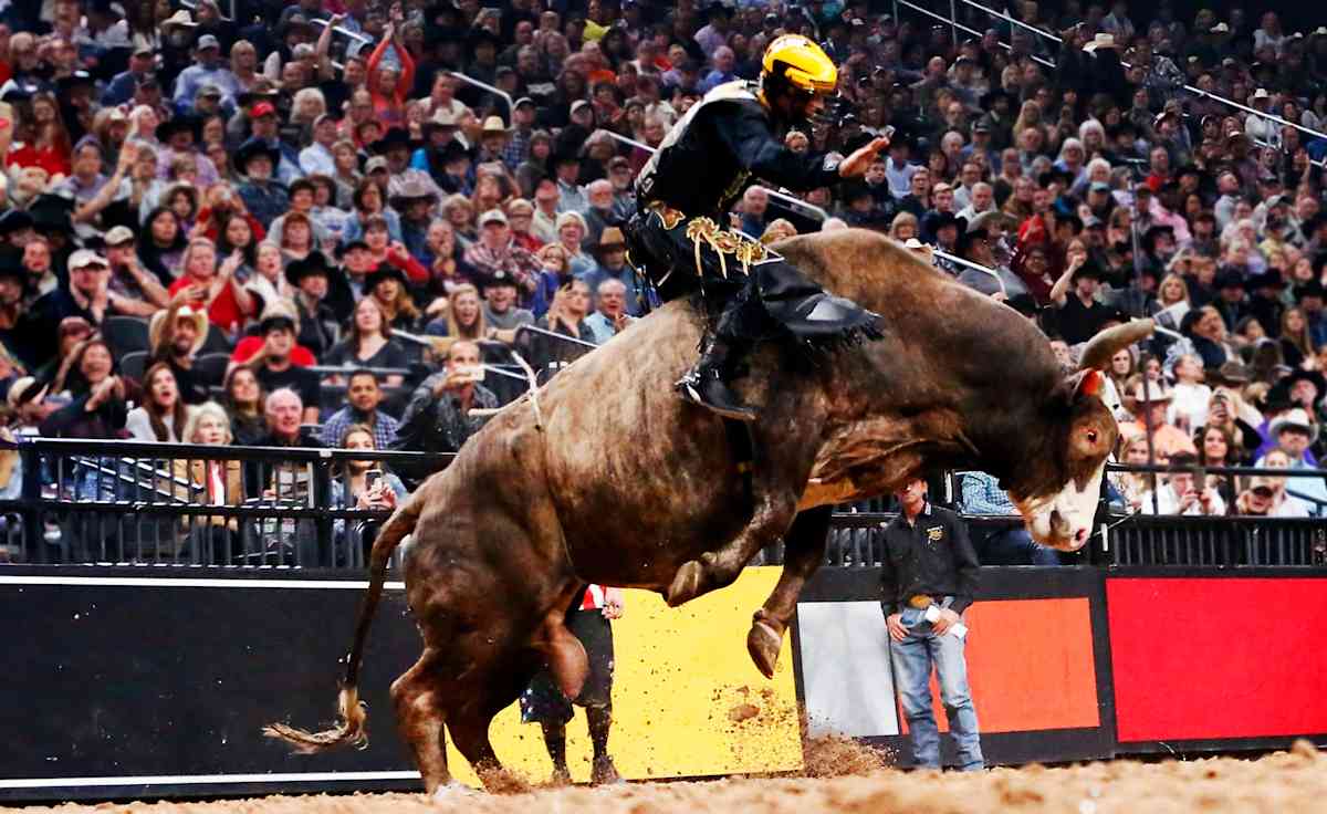 PBR Team Series Championship