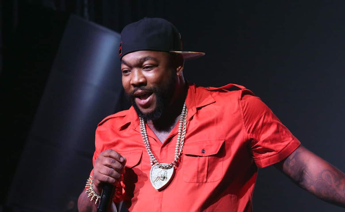 Gorilla Zoe