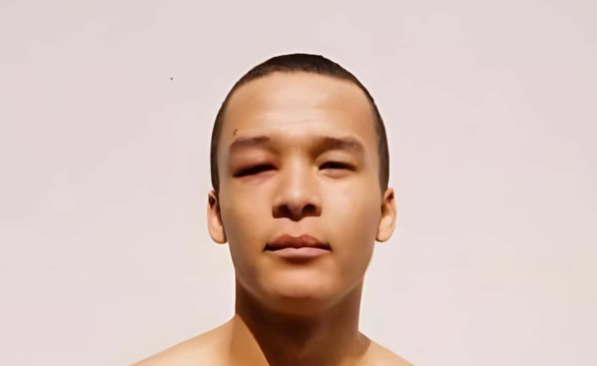 Kamelen