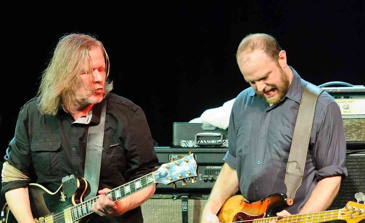 Swans