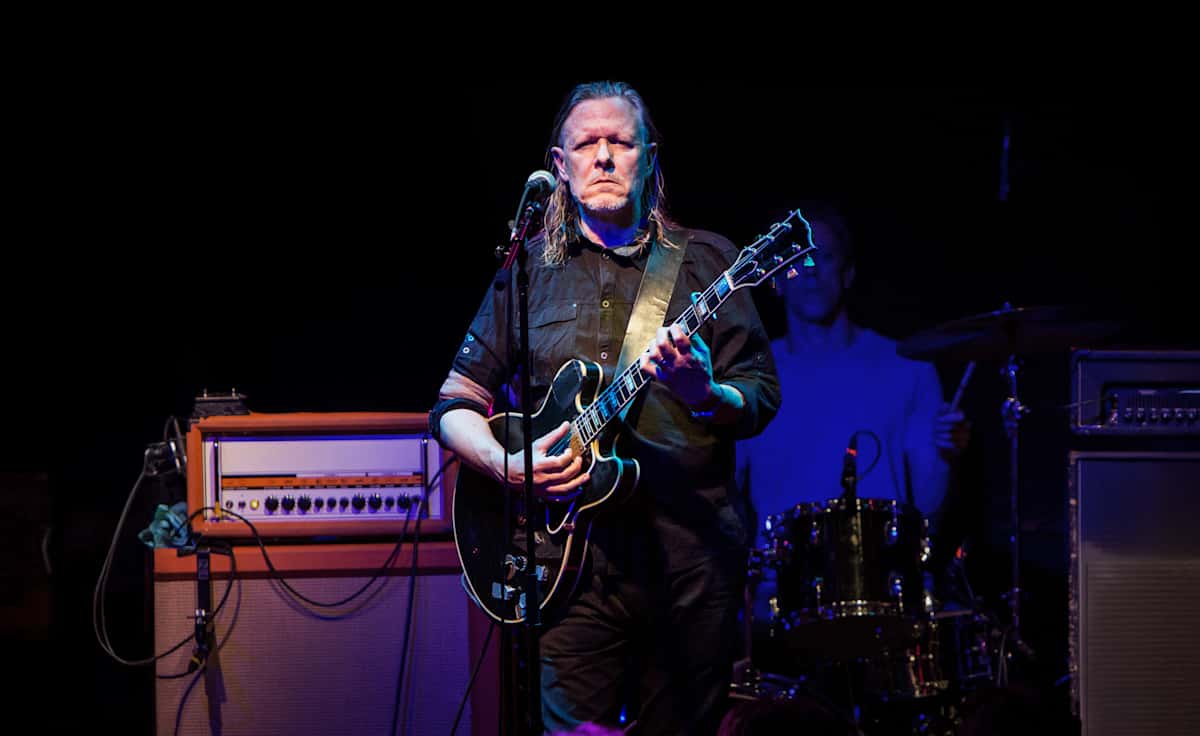 Swans