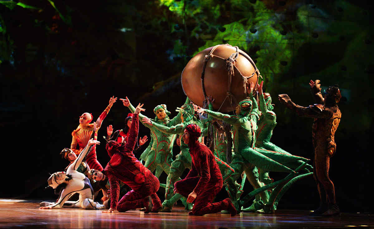 Cirque du Soleil - OVO