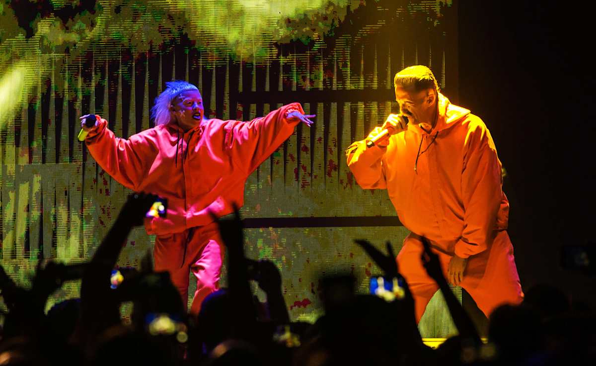 Die Antwoord