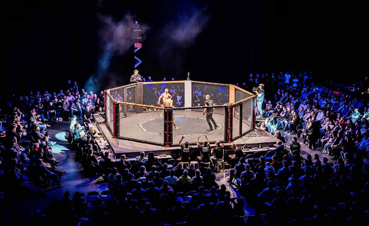 We Love MMA