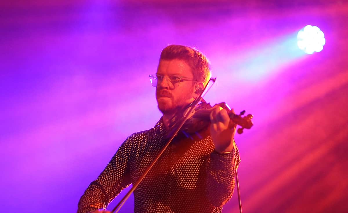 Peatbog Faeries