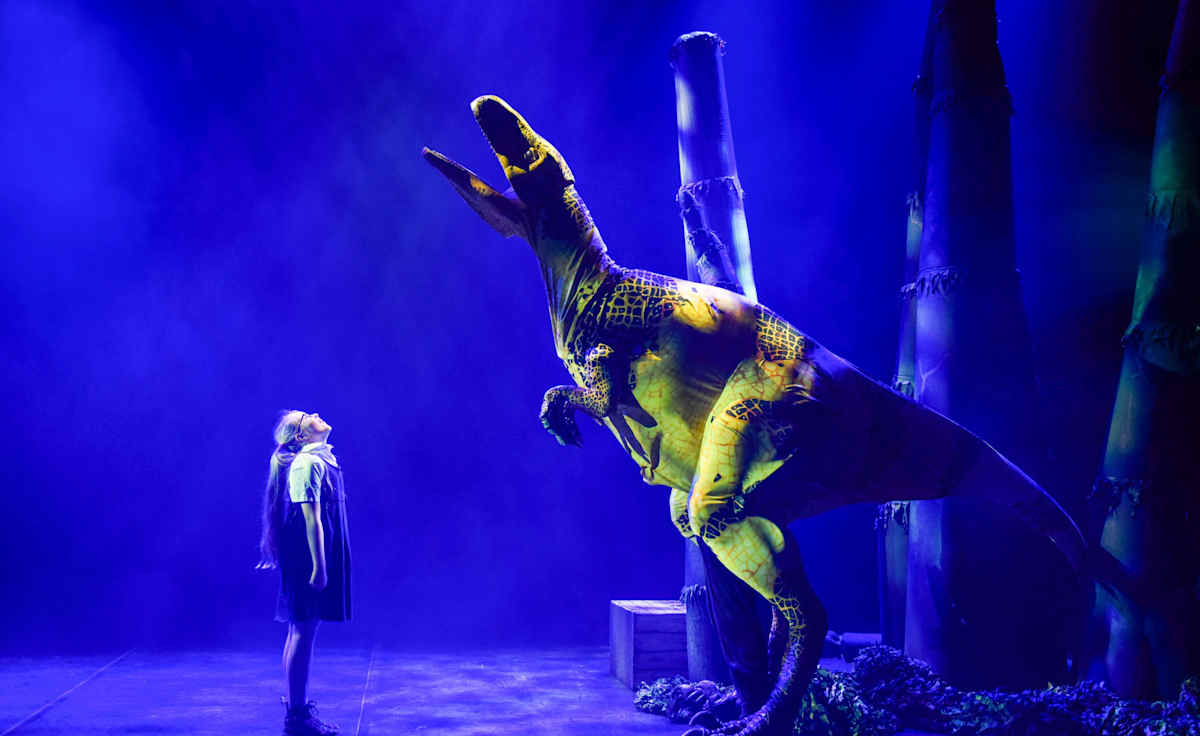 Dinosaur Zoo