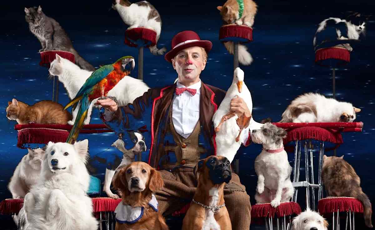 Popovich Comedy Pet Theatre