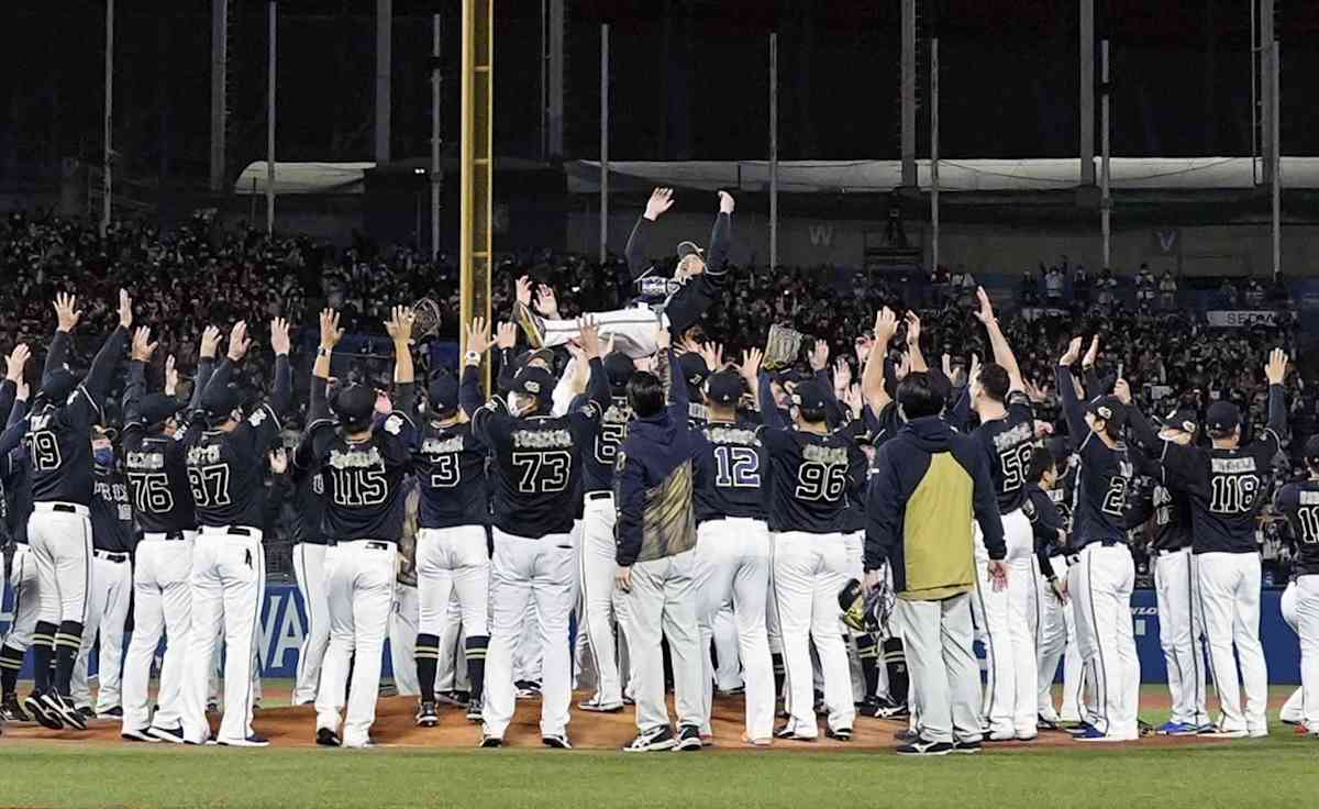 Orix Buffaloes
