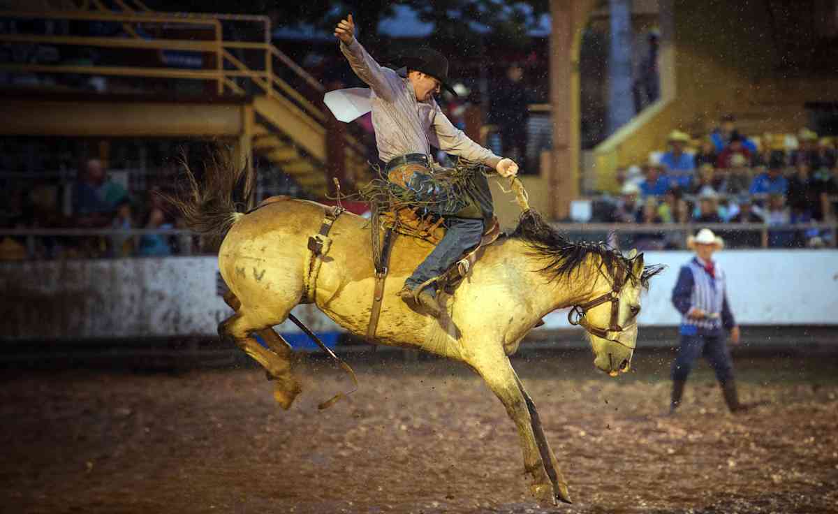 Pikes Peak or Bust Rodeo