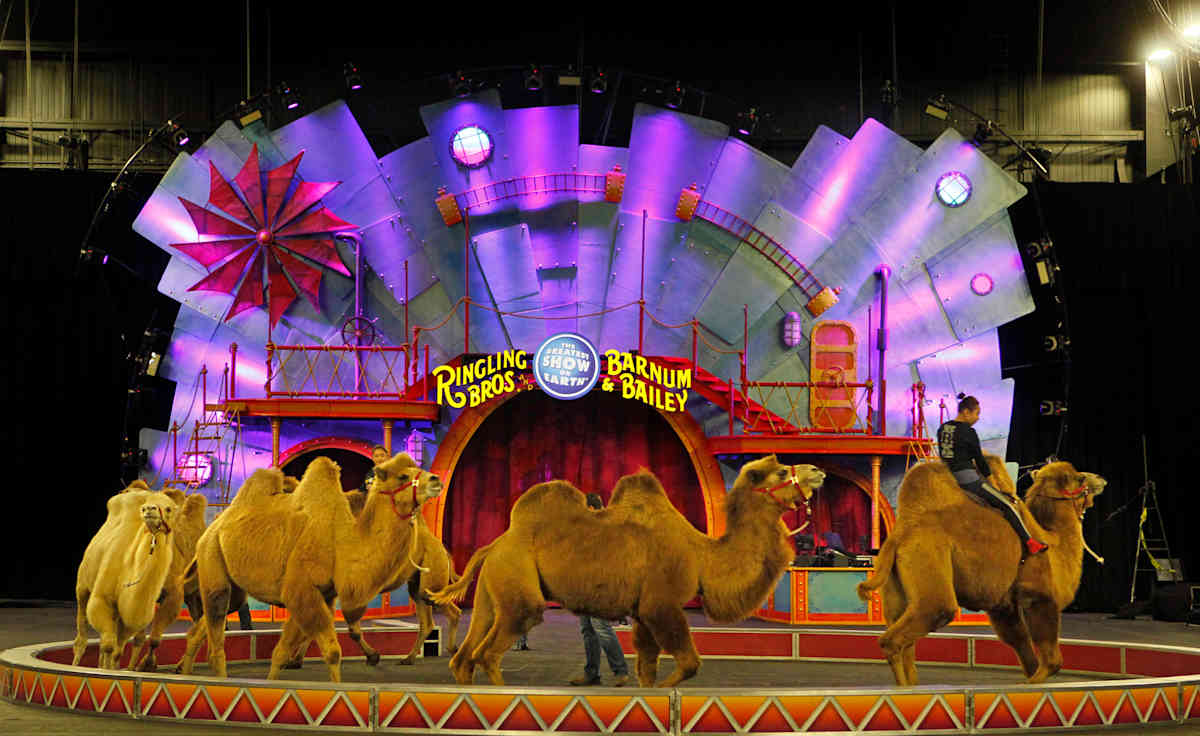Ringling Bros. and Barnum and Bailey Circus - Philadelphia