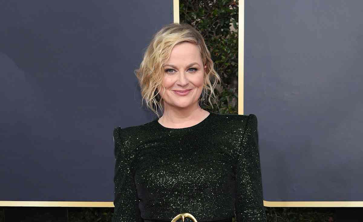 Amy  Poehler