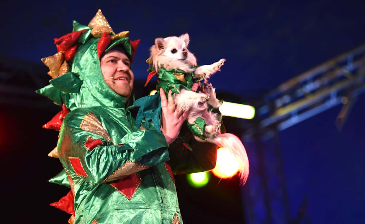 Piff The Magic Dragon