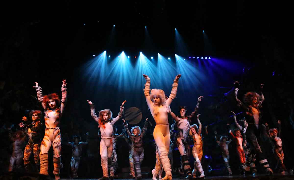Cats The Musical