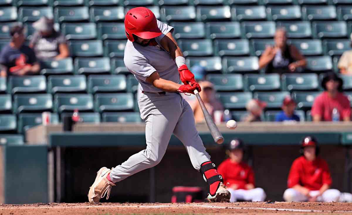 Winnipeg Goldeyes