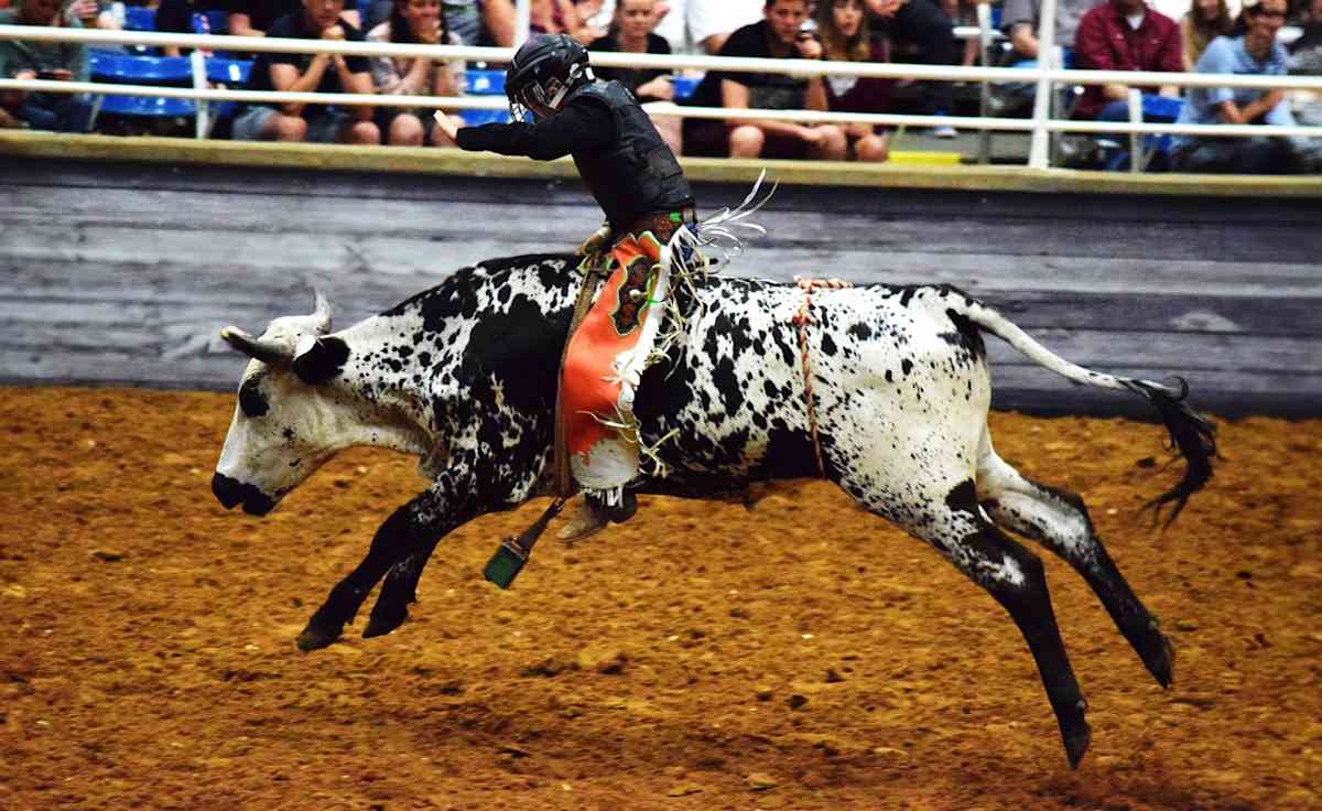 Mesquite Championship Rodeo