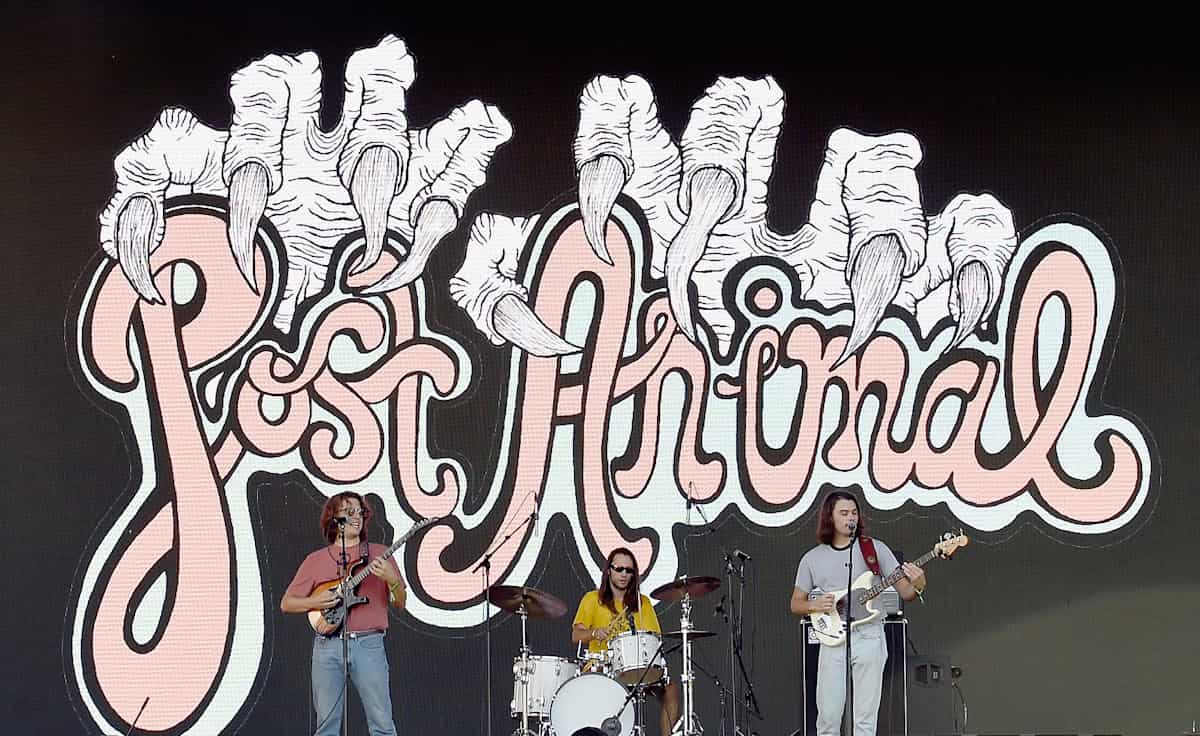 Post Animal