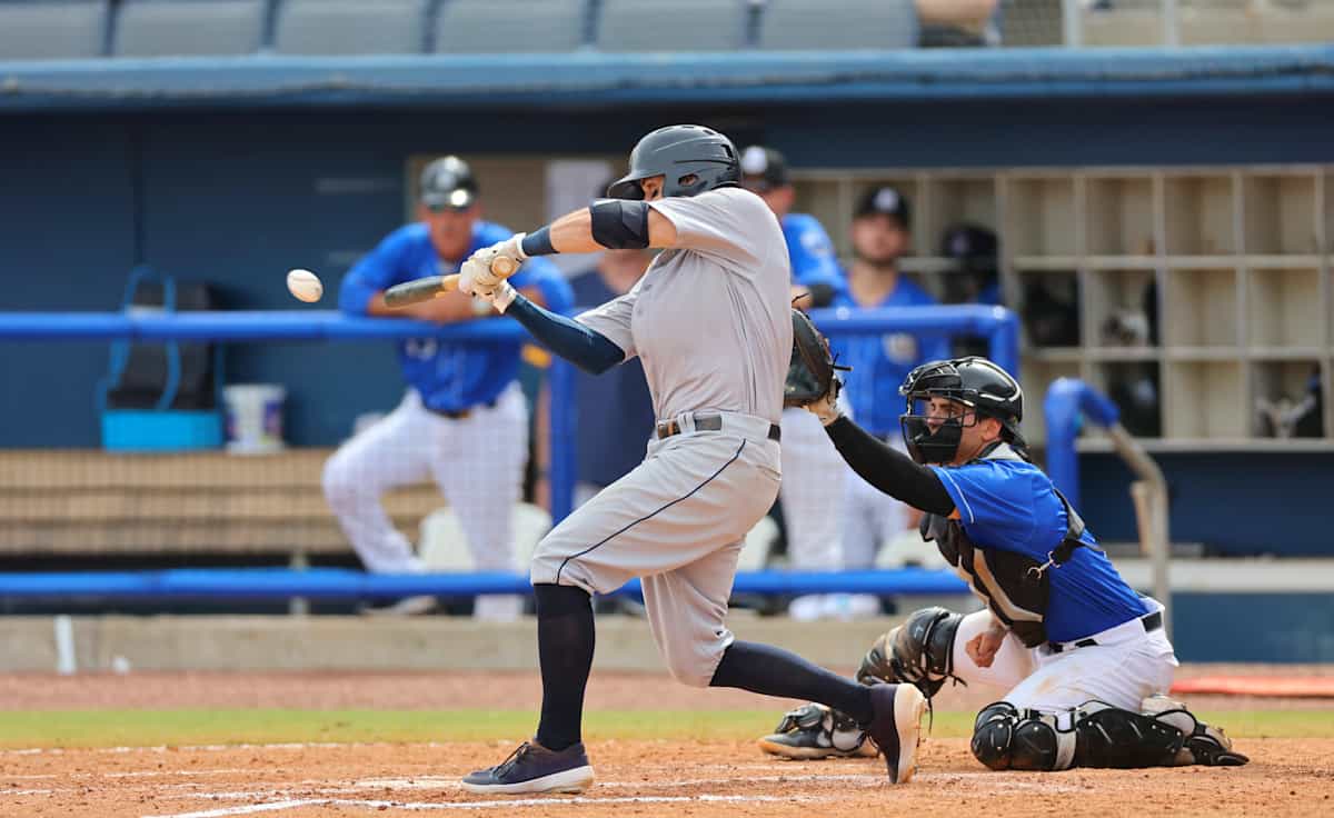 Montgomery Biscuits