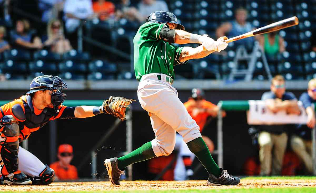 Great Lakes Loons
