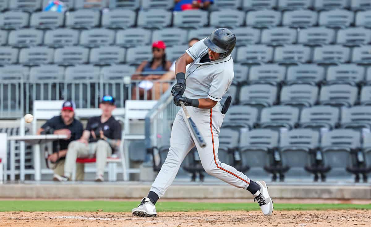 Delmarva Shorebirds