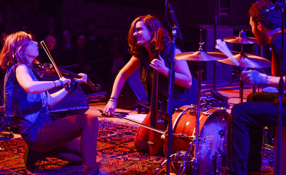 The Accidentals