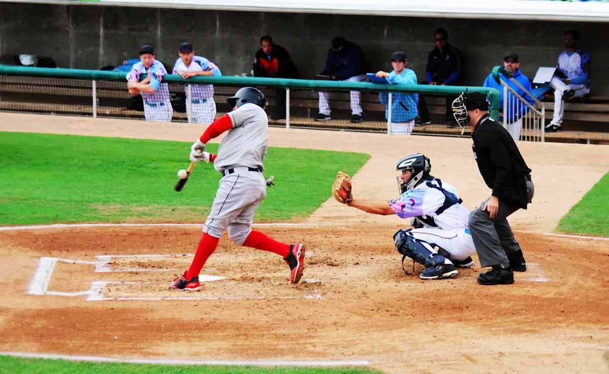 Myrtle Beach Pelicans