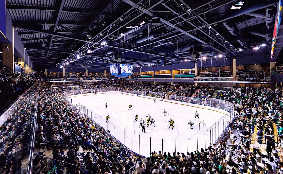 Michigan Wolverines Hockey