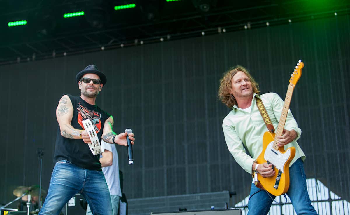 Gin Blossoms