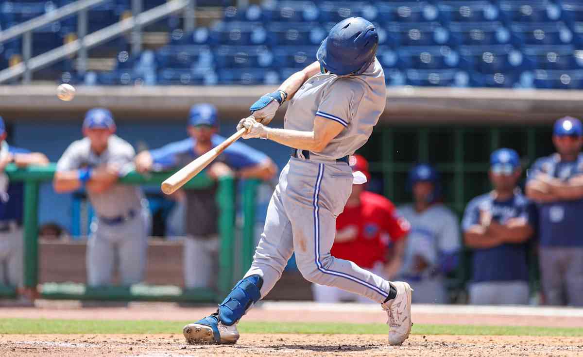 Dunedin Blue Jays